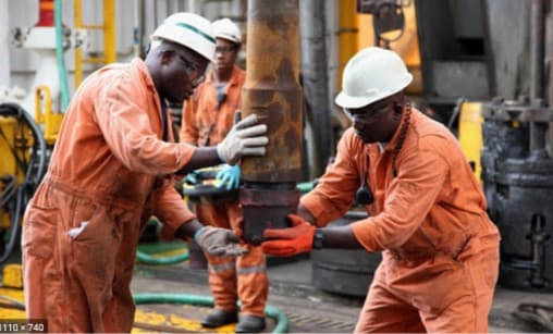 Provision of manpower expats